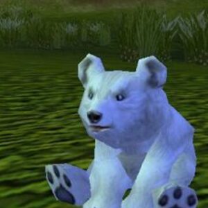 Baby Blizzard Bear - ChromieCraft